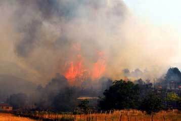 Μεγάλη πυρκαγιά μαίνεται ανεξέλεγκτη στην Κύπρο