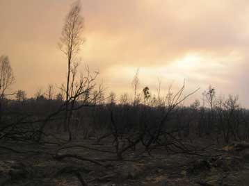 Πολύ υψηλός ο κίνδυνος πυρκαγιών για Αν.Αττική, Εύβοια, Κρήτη και Β.Αιγαίο