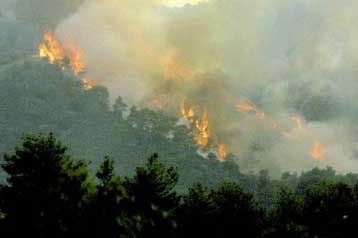 Ένας νεκρός και τέσσερις τραυματίες από πυρκαγιά στην Κύπρο