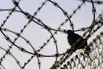 Το δρόμο για την απελευθέρωση κρατουμένου στο Γκουαντάναμο άνοιξε δικαστική απόφαση