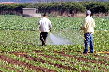 Απαγόρευση των τοξικών παρασιτοκτόνων σχεδιάζει η ΕΕ