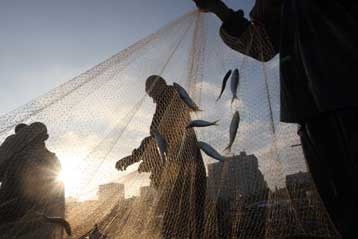 Τραυματισμένη αλλά ακόμα σε ισχύ η εκεχειρία στη Λωρίδα της Γάζας
