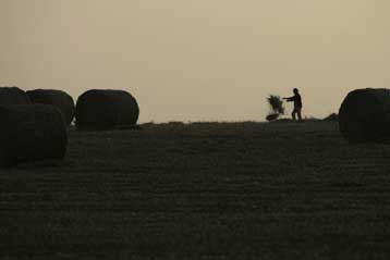 Μόνο η αύξηση παραγωγής τροφίμων θα επιλύσει την επισιτιστική κρίση, κατά τον FAO