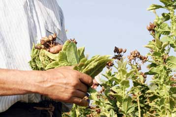 Νέα υπόθεση εκμετάλλευσης μεταναστών αποκαλύφθηκε στην Πιερία