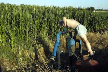 Επιβεβαιώθηκε το κρούσμα κριμαϊκού αιμορραγικού πυρετού στον Έβρο