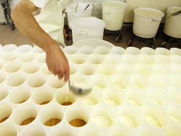 Νέο διατροφικό σκάνδαλο με έντεκα χιλιάδες τόνους τυριού στην Ευρώπη