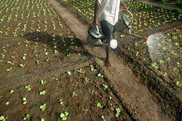 Κλιματική αλλαγή και επισιτιστική κρίση ρίχνουν βαριά σκιά στη σύνοδο της G8