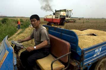 H Κίνα επενδύει στις γενετικά τροποποιημένες καλλιέργειες