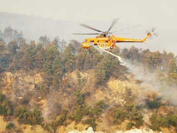 Στάχτη έγιναν 6.000 στρέμματα πευκοδάσους από την πυρκαγιά στη Σκύρο