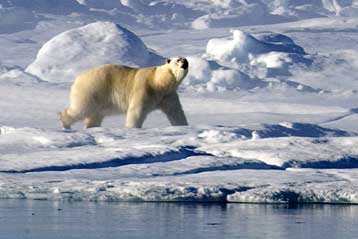 Ρώσοι επιστήμονες στην Αρκτική έχασαν τον πάγο κάτω από τα πόδια τους