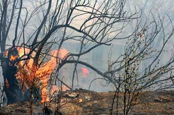 Πολιτικές αντιπαραθέσεις με φόντο τους πυρόπληκτους του 2007