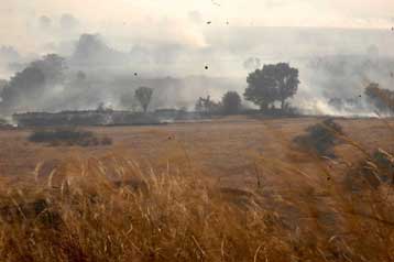 Έσβησε η μεγάλη πυρκαγιά στην περιοχή των Τεμπών