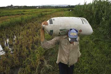 Περισσότερη κρατική γη στον έλεγχο των αγροτών θέτει η Κούβα