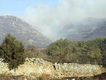 Πυρκαγιές σε Κυπαρισσία, Φθιώτιδα, Κάρυστο και Γρεβενά