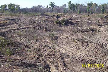 Υπαναχωρεί η Εταιρεία Τουριστικής ανάπτυξης μετά τις καταγγελίες για τον Καϊάφα