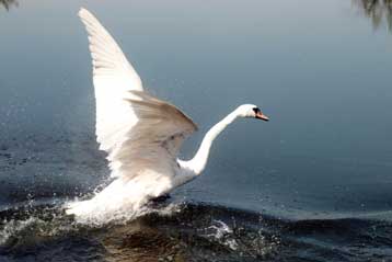 Ερώτηση του ΣΥΡΙΖΑ για τη μόλυνση του Αξιού στην ΠΓΔΜ