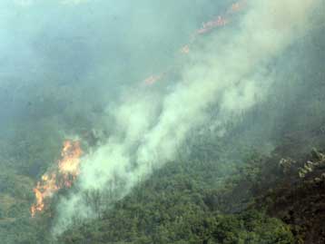 Έσβησε η πυρκαγιά στη Σαμοθράκη