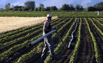 Δεν αλλάζει το καθεστώς επιδότησης αγροτικών δανείων από ΑΤΕ, ξεκαθαρίζει το ΥΠΟΙΟ