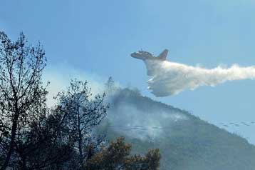 Πύρινα μέτωπα σε Μαρκόπουλο, Μαραθώνα, Ρόδο και Ζάκυνθο