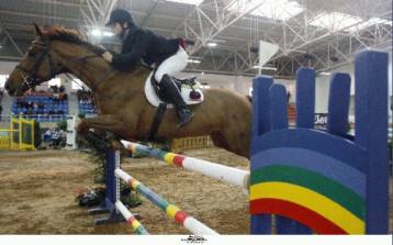 Ολυμπιακός… τυφώνας στο Χονγκ Κονγκ απειλεί την ιππασία