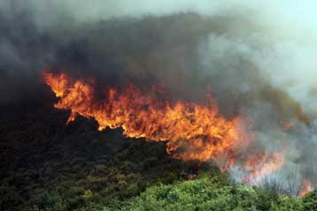 Πυρκαγιές ξέσπασαν σε Μεσσηνία και Ευρυτανία