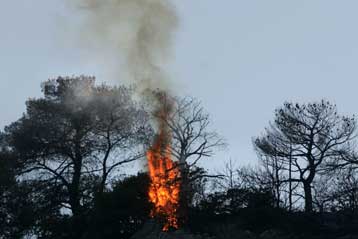 Πυρκαγιές σε Πάρνωνα και Γόρτυνο Αρκαδίας
