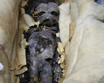 Σε τεστ πατρότητας θα υποβληθεί η μούμια του Τουταγχαμόν στο Κάιρο