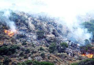 Σε ύφεση η φωτιά στην Αριδαία Πέλλας, υπό μερικό έλεγχο η πυρκαγιά στον Πάρνωνα
