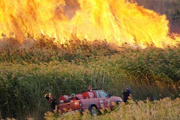 Πάνω από 90 άτομα έχουν συλληφθεί από τις αρχές του χρόνου για εμπρησμούς