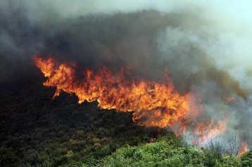 Πυρκαγιά σε δασική έκταση στο δήμο Ασκληπιείου Αργολίδας