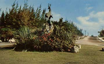 Το ζωολογικό κήπο του Καράκας αναλαμβάνει να… εξοπλίσει η Κούβα