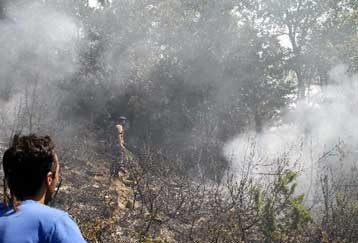 Επεκτείνονται και στους πυρόπληκτους της Μαγνησίας οι ευνοϊκές διατάξεις για τα δάνεια