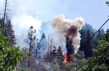 Υπό έλεγχο η πυρκαγιά που ξέσπασε σε δασική έκταση έξω από την πόλη της Ξάνθης