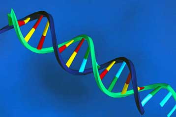 Βρέθηκε το γονίδιο που προκαλεί το παιδικό νευροβλάστωμα