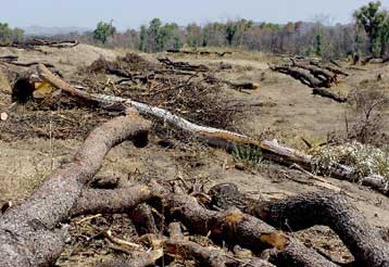 Πυρά της Αντιπολίτευσης για την κατάταση στις πυρόπληκτες περιοχές