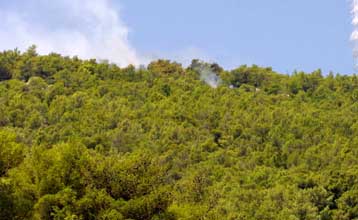 Νόμιμες οι παιδικές κατασκηνώσεις εντός της Πάρνηθας με απόφαση ΣτΕ