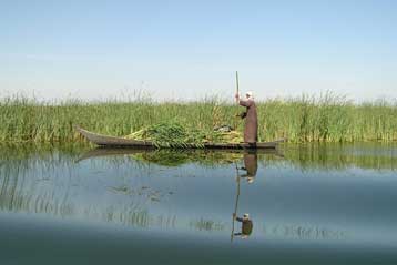 Aποκαταστάθηκε κατά το ήμισυ o ιρακινός «Κήπος της Εδέμ»