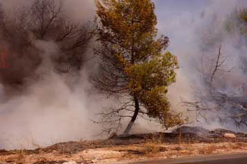 Πύρινα μέτωπα σε Πέλλα, Κιλκίς, Φλώρινα και Γρεβενά