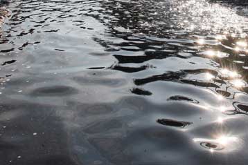 Περιβαλλοντικές επιθεωρήσεις σε βιομηχανίες και ιχθυοτροφεία στον ποταμό Λούρο