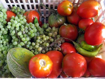 Στασιμότητα χαρακτηρίζει τις εξαγωγές αγροτικών προϊόντων την διετία 2006-2007