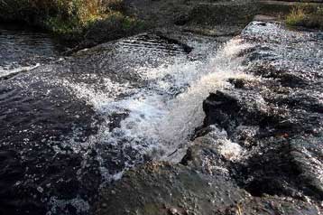 Καρκινογόνα και τοξικά μέταλλα στην κοίτη του Ασωπού