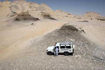 Στη Λιβύη μεταφέρθηκαν οι Ευρωπαίοι και οι Αιγύπτιοι που απήχθησαν στη Σαχάρα