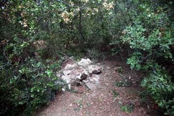 Προφυλακιστέος κρίθηκε ο συζυγοκτόνος δάσκαλος μουσικής