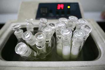 Επιμολυσμένο με μελαμίνη προϊόν εντοπίστηκε και στην Αυστραλία