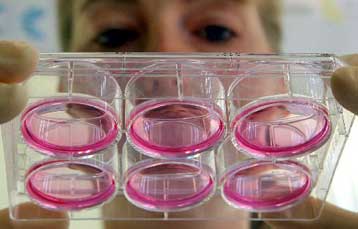 Η πανεπιστημιακή έρευνα παρουσιάστηκε στο Μέγαρο Μουσικής Αθηνών