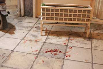 Προκλητικά μικρές οι ποινές στους αστυνομικούς για το επεισόδιο της ζαρντινιέρας