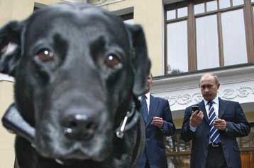 Με δορυφορικό κολάρο «εξοπλίστηκε» ο σκύλος του Βλαντιμίρ Πούτιν