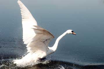 Εκπέμπουν σήμα κινδύνου τα ελληνικά ποτάμια