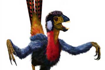 Φτερωτός δεινόσαυρος προσφέρει στοιχεία για την εξέλιξη των πτηνών