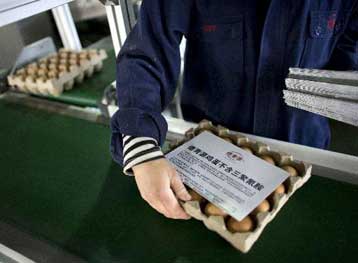 «Συνήθης τακτική» η προσθήκη μελαμίνης στις κινεζικές ζωοτροφές